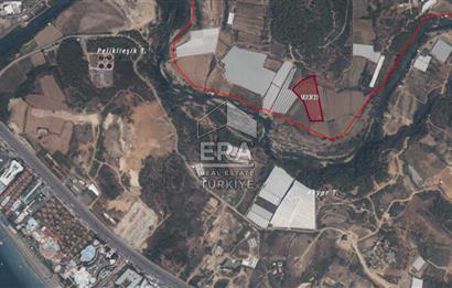 ANTALYA MANAVGAT BOZTEPE MAHALLESİ SATILIK TARLA