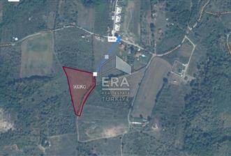 ERA KARAT TAN SAPANCA AKÇAY MEVKİİNDE YATIRIMLIK SATILIK TARLA - 1 - 14083