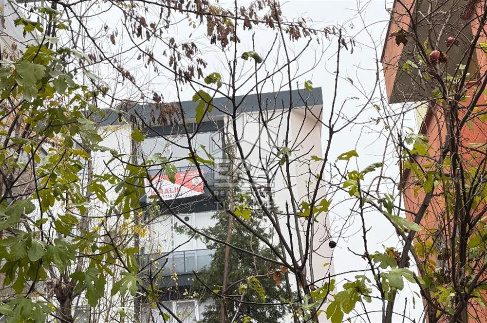 Kültür de kiralık 1+1 daire sıfır 