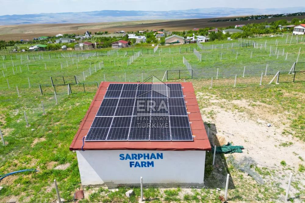 SARPHAN YÖRELİ HOBİ BAHÇELERİNDE SATILIK HOBİ BAHÇESİ