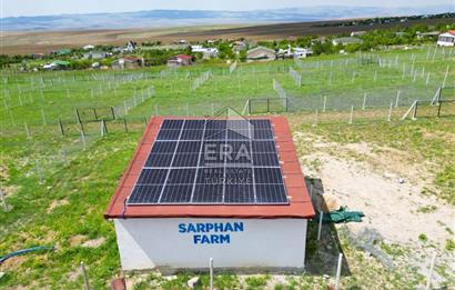 SARPHAN YÖRELİ HOBİ BAHÇELERİNDE SATILIK HOBİ BAHÇESİ