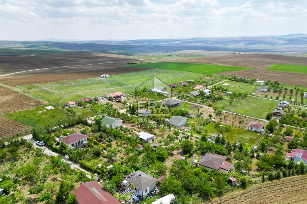 SARPHAN YÖRELİ HOBİ BAHÇELERİNDE SATILIK HOBİ BAHÇESİ