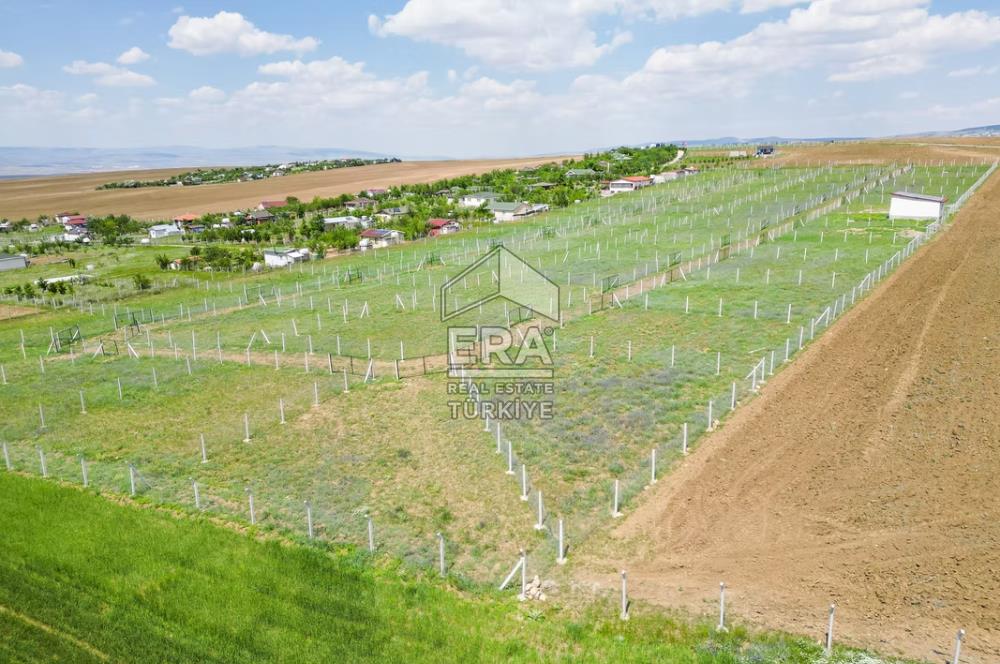 SARPHAN YÖRELİ HOBİ BAHÇELERİNDE SATILIK HOBİ BAHÇESİ