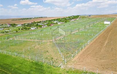 SARPHAN YÖRELİ HOBİ BAHÇELERİNDE SATILIK HOBİ BAHÇESİ