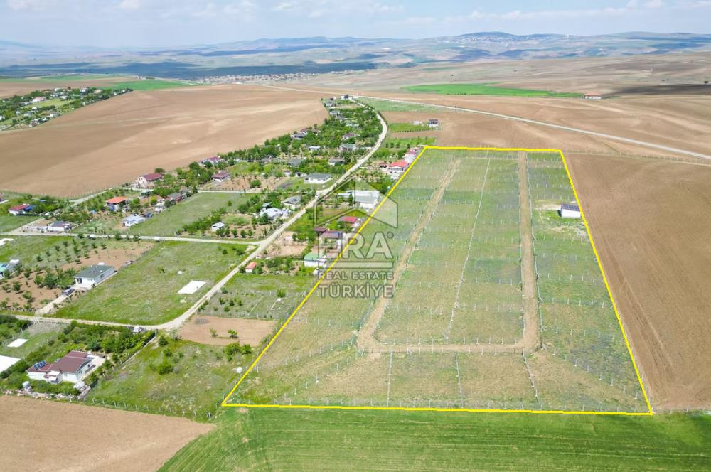 SARPHAN YÖRELİ HOBİ BAHÇELERİNDE SATILIK HOBİ BAHÇESİ