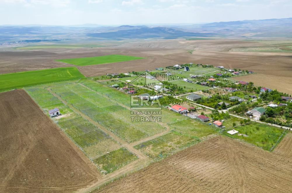 SARPHAN YÖRELİ HOBİ BAHÇELERİNDE SATILIK HOBİ BAHÇESİ