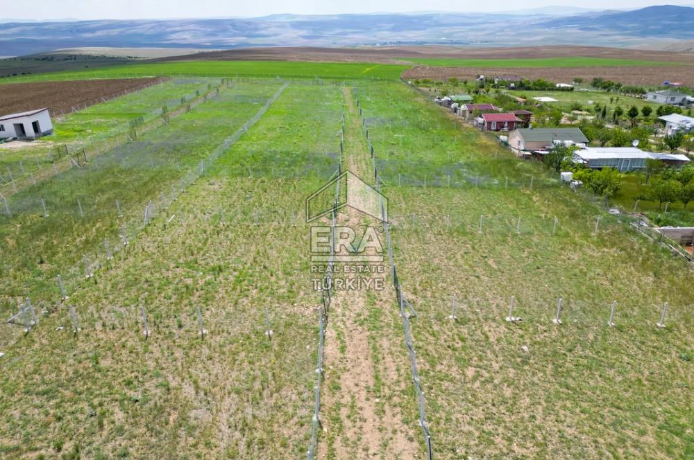 SARPHAN YÖRELİ HOBİ BAHÇELERİNDE SATILIK HOBİ BAHÇESİ