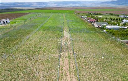 SARPHAN YÖRELİ HOBİ BAHÇELERİNDE SATILIK HOBİ BAHÇESİ