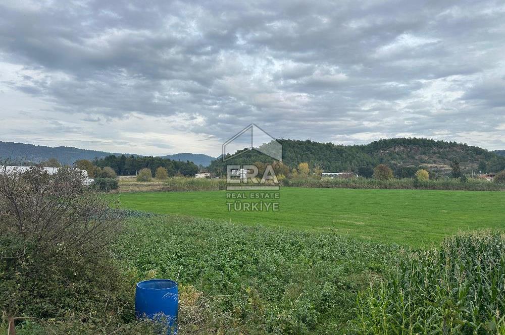 ANTALYA MANAVGAT ODAÖNÜ MAHALLESİ SATILIK TARLA
