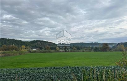 ANTALYA MANAVGAT ODAÖNÜ MAHALLESİ SATILIK TARLA