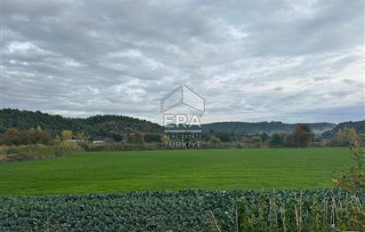 ANTALYA MANAVGAT ODAÖNÜ MAHALLESİ SATILIK TARLA