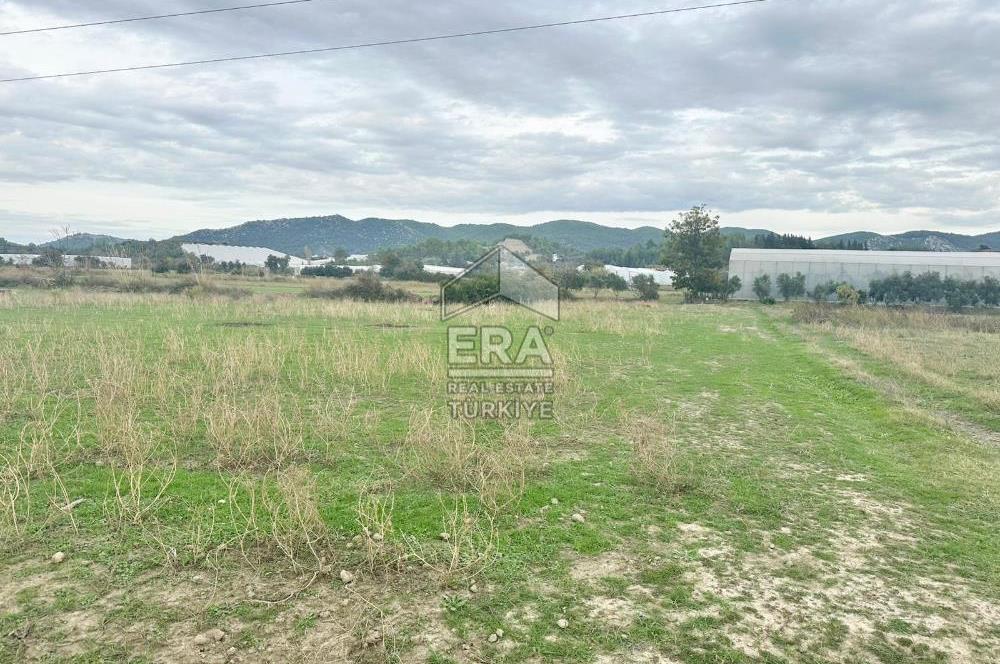 ANTALYA MANAVGAT ODAÖNÜ MAHALLESİ SATILIK TARLA