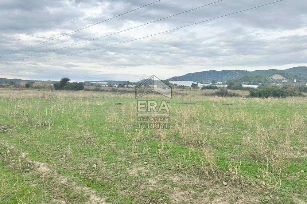 ANTALYA MANAVGAT ODAÖNÜ MAHALLESİ SATILIK TARLA