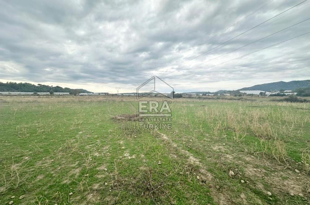 ANTALYA MANAVGAT ODAÖNÜ MAHALLESİ SATILIK TARLA