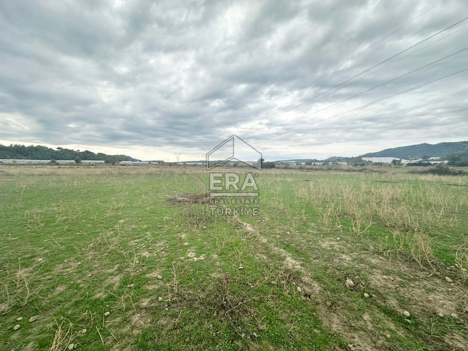 ANTALYA MANAVGAT ODAÖNÜ MAHALLESİ SATILIK TARLA