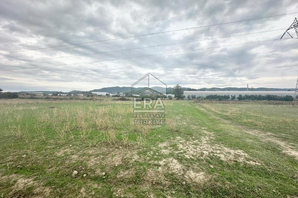 ANTALYA MANAVGAT ODAÖNÜ MAHALLESİ SATILIK TARLA