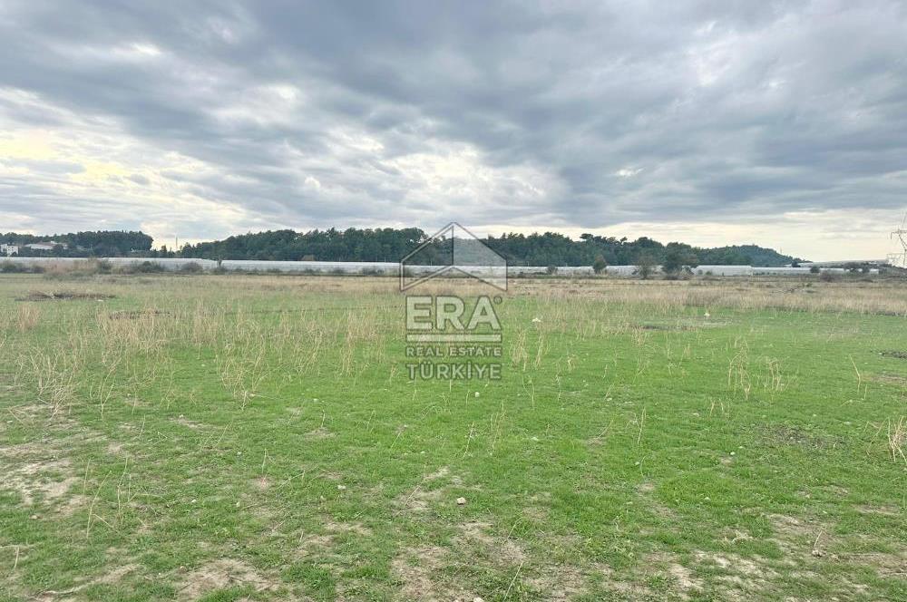 ANTALYA MANAVGAT ODAÖNÜ MAHALLESİ SATILIK TARLA