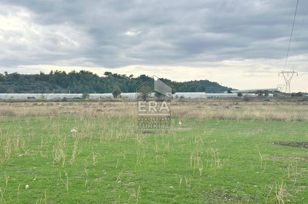 ANTALYA MANAVGAT ODAÖNÜ MAHALLESİ SATILIK TARLA