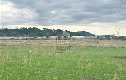 ANTALYA MANAVGAT ODAÖNÜ MAHALLESİ SATILIK TARLA