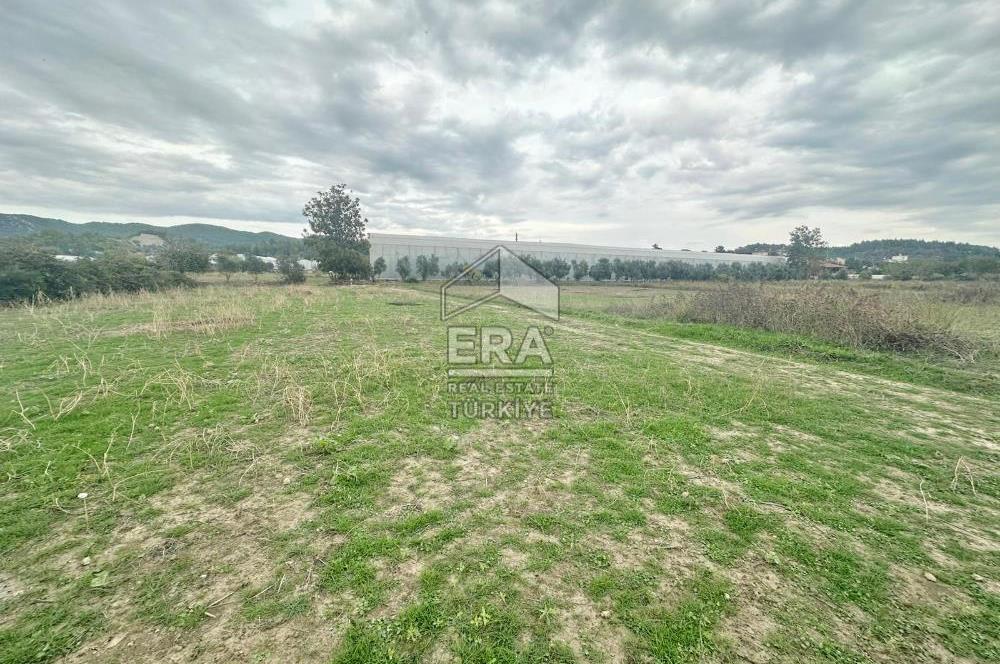 ANTALYA MANAVGAT ODAÖNÜ MAHALLESİ SATILIK TARLA