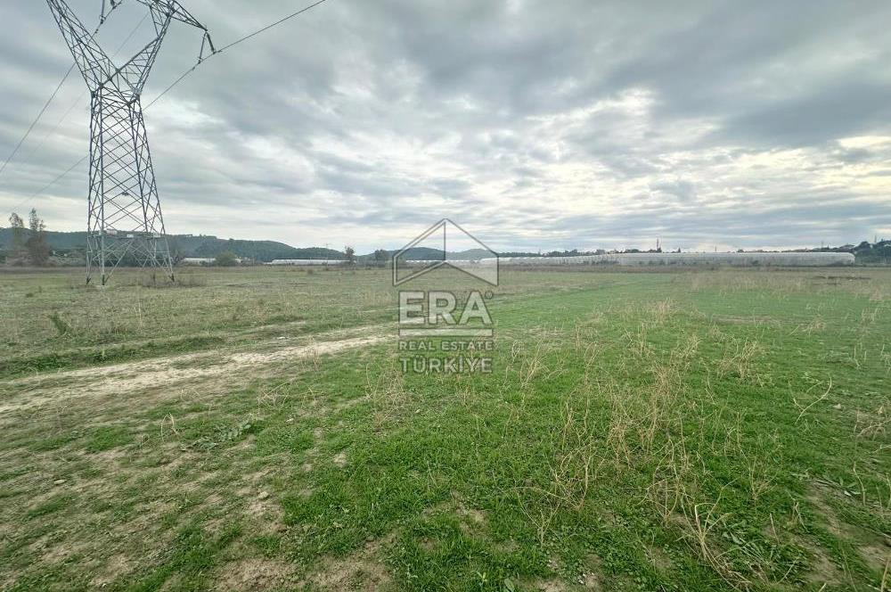 ANTALYA MANAVGAT ODAÖNÜ MAHALLESİ SATILIK TARLA