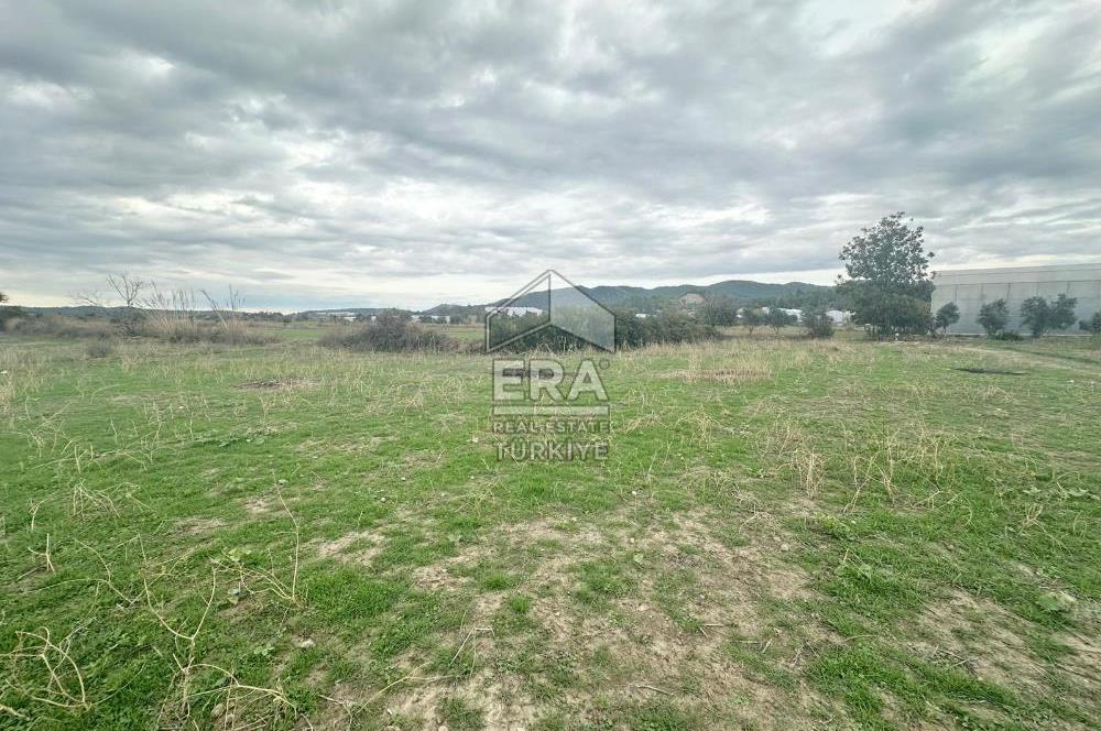 ANTALYA MANAVGAT ODAÖNÜ MAHALLESİ SATILIK TARLA