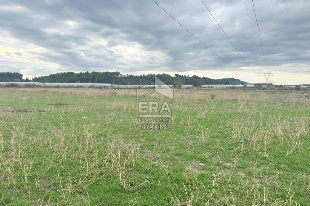 ANTALYA MANAVGAT ODAÖNÜ MAHALLESİ SATILIK TARLA