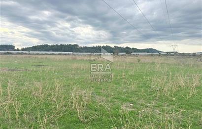 ANTALYA MANAVGAT ODAÖNÜ MAHALLESİ SATILIK TARLA