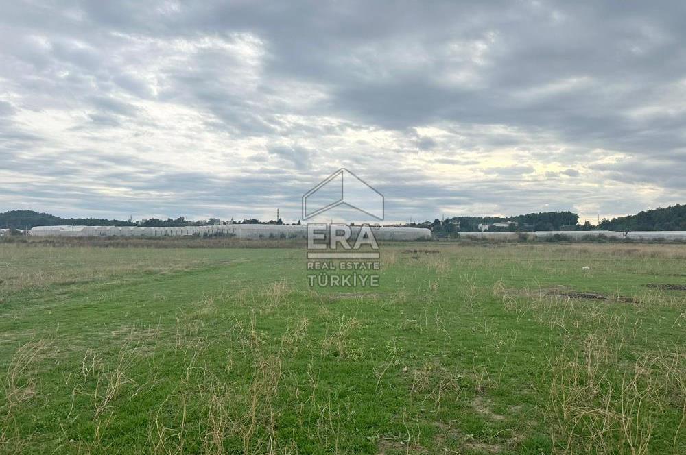 ANTALYA MANAVGAT ODAÖNÜ MAHALLESİ SATILIK TARLA