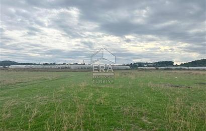 ANTALYA MANAVGAT ODAÖNÜ MAHALLESİ SATILIK TARLA