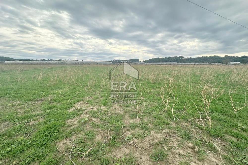 ANTALYA MANAVGAT ODAÖNÜ MAHALLESİ SATILIK TARLA