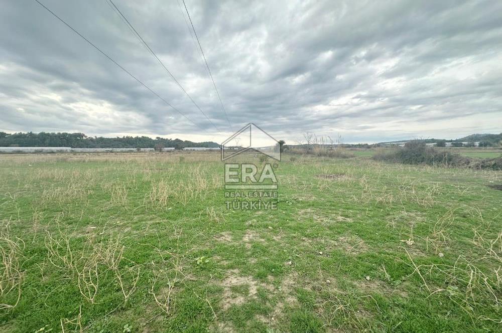 ANTALYA MANAVGAT ODAÖNÜ MAHALLESİ SATILIK TARLA