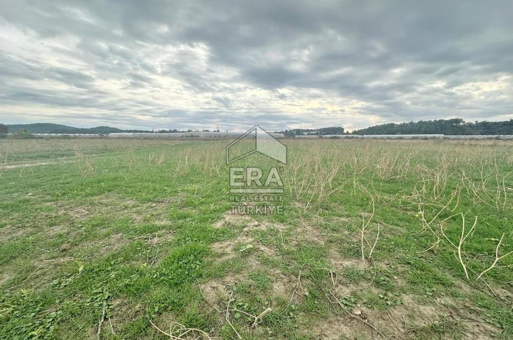 ANTALYA MANAVGAT ODAÖNÜ MAHALLESİ SATILIK TARLA