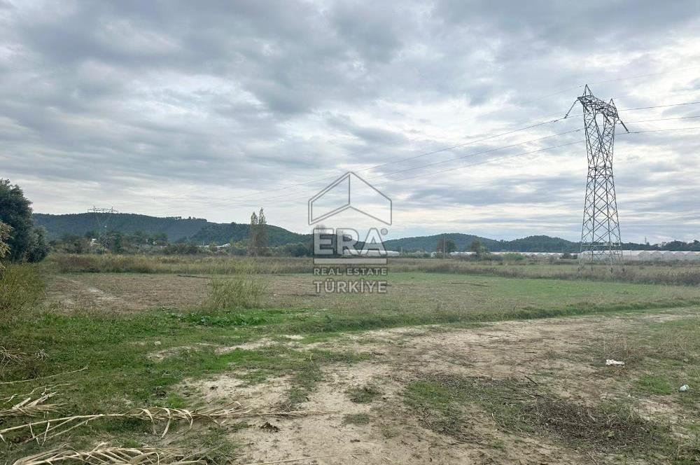 ANTALYA MANAVGAT ODAÖNÜ MAHALLESİ SATILIK TARLA