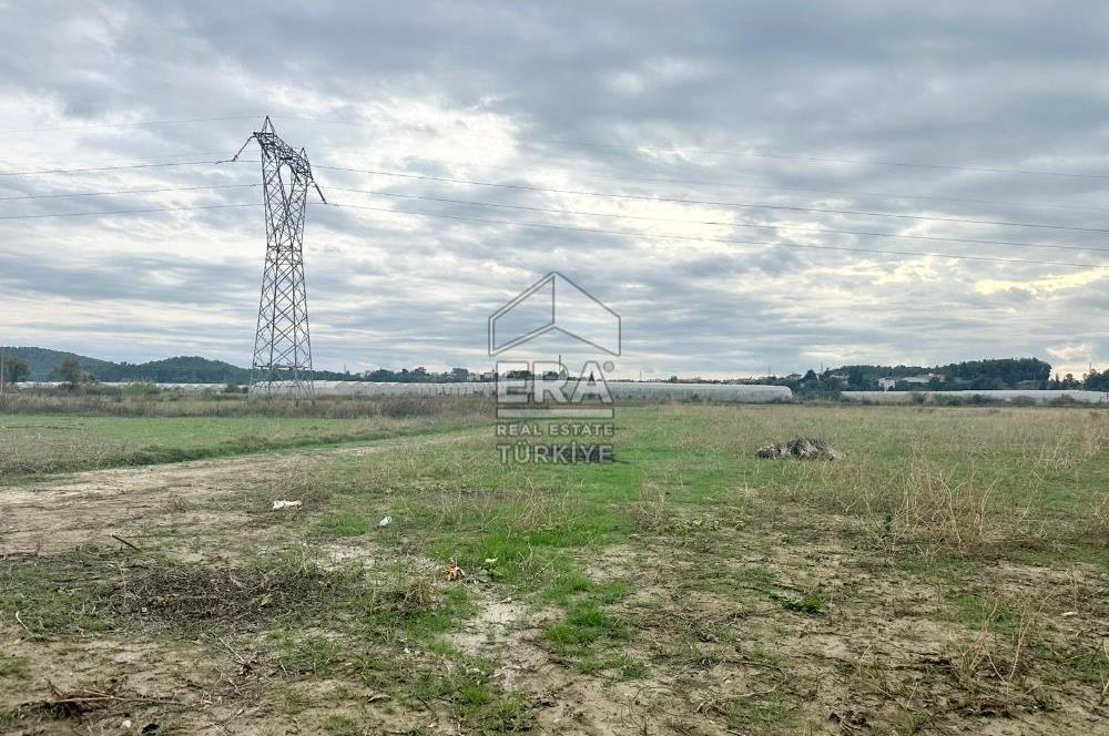 ANTALYA MANAVGAT ODAÖNÜ MAHALLESİ SATILIK TARLA