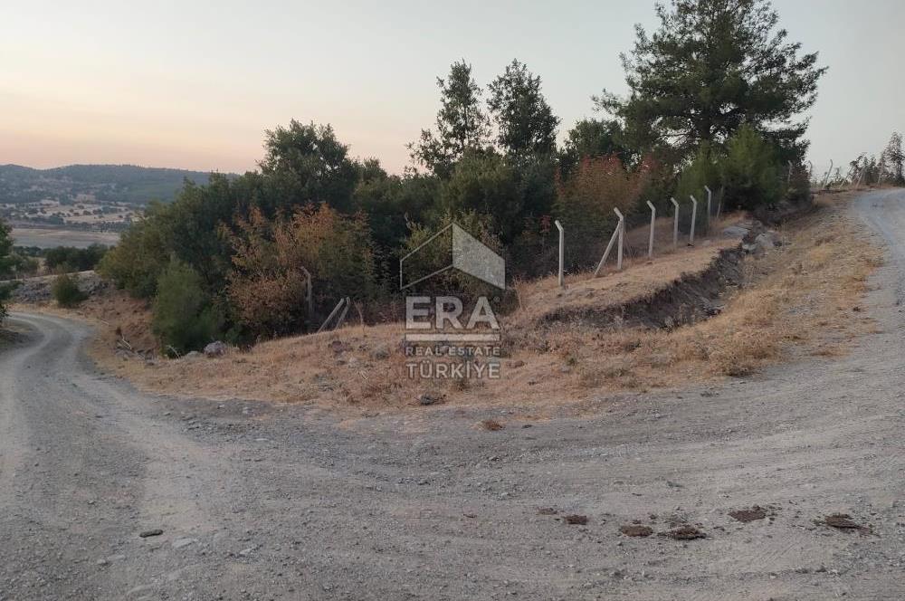 ERA PORT GÜVENCESİYLE ÇANAKKALE AYVACIK AKÇİN DE SATILIK TARLA