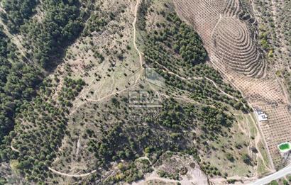 ERA PORT GÜVENCESİYLE BALIKESİR AYVALIK SATILIK 128 DÖNÜM TARLA