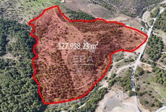 ERA PORT GÜVENCESİYLE BALIKESİR AYVALIK SATILIK 128 DÖNÜM TARLA - 1 - 14099