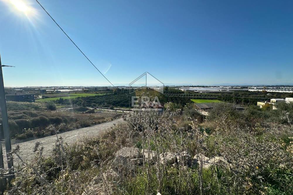 ANTALYA MANAVGAT BEREKET MAHALLESİ SATILIK ARSA