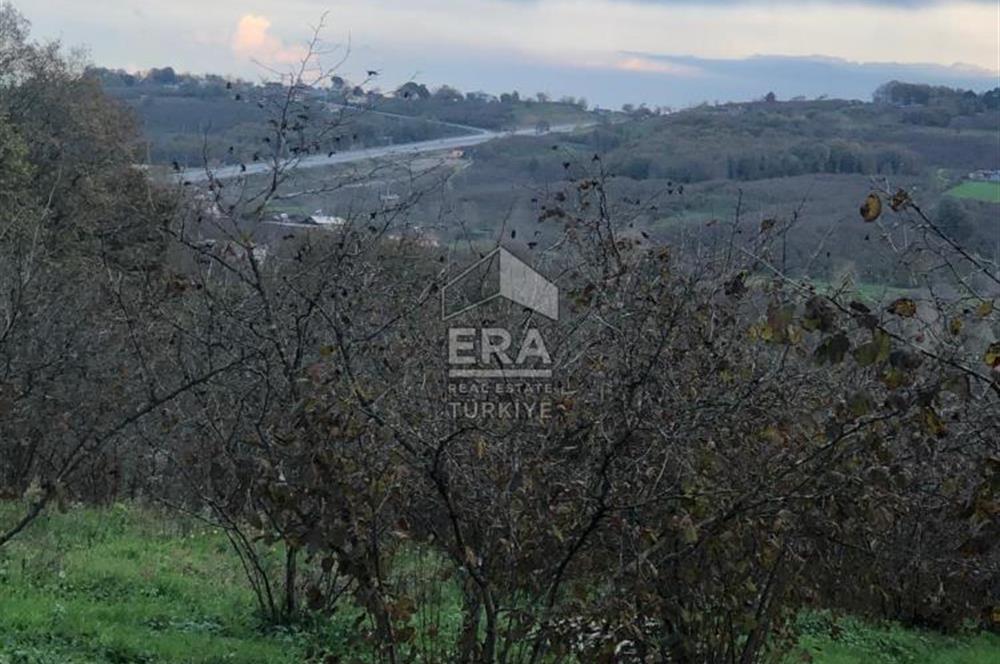 ERA KARAT KARASU TAŞLIGEÇİT KÖY İÇİ'NDE 4,844 M2 SATILIK TARLA