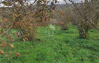 ERA KARAT KARASU TAŞLIGEÇİT KÖY İÇİ'NDE 4,844 M2 SATILIK TARLA