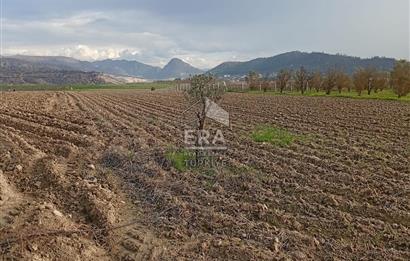 ERA KARAT BİLECİK OSMANELİ SELÇİK KÖYÜNDE 3.211 M2 SATILIK TARLA