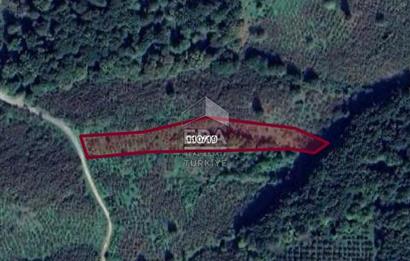 ERA KARAT KARASU TAŞLIGEÇİT KÖY İÇİ'NDE 4,844 M2 SATILIK TARLA