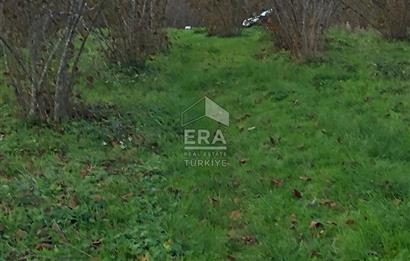 ERA KARAT KARASU TAŞLIGEÇİT KÖY İÇİ'NDE 4,844 M2 SATILIK TARLA
