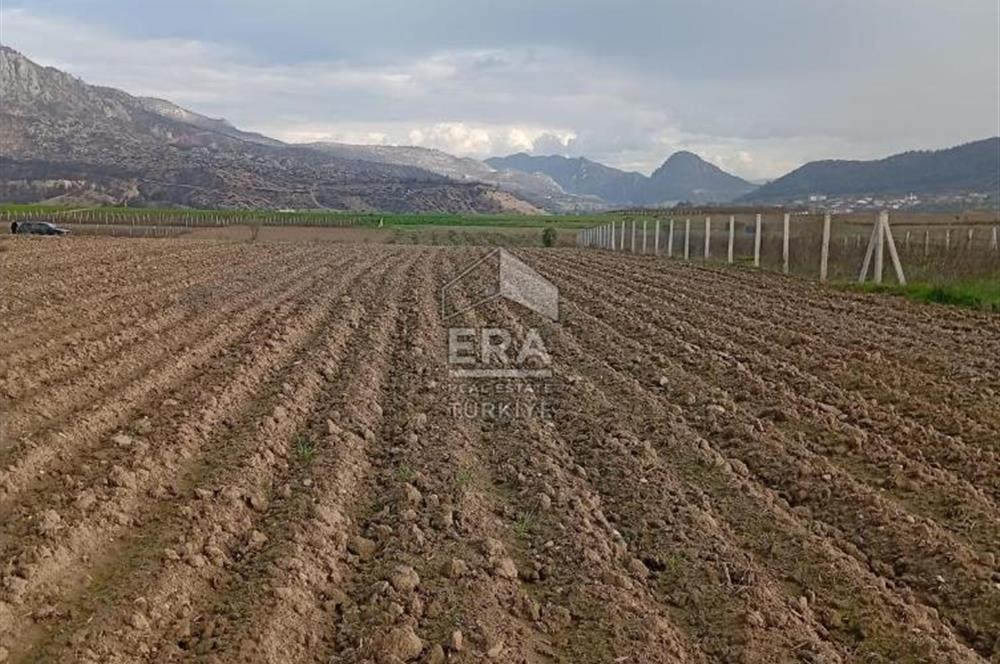 ERA KARAT BİLECİK OSMANELİ SELÇİK KÖYÜNDE 3.211 M2 SATILIK TARLA