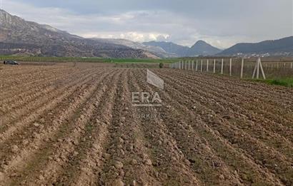 ERA KARAT BİLECİK OSMANELİ SELÇİK KÖYÜNDE 3.211 M2 SATILIK TARLA