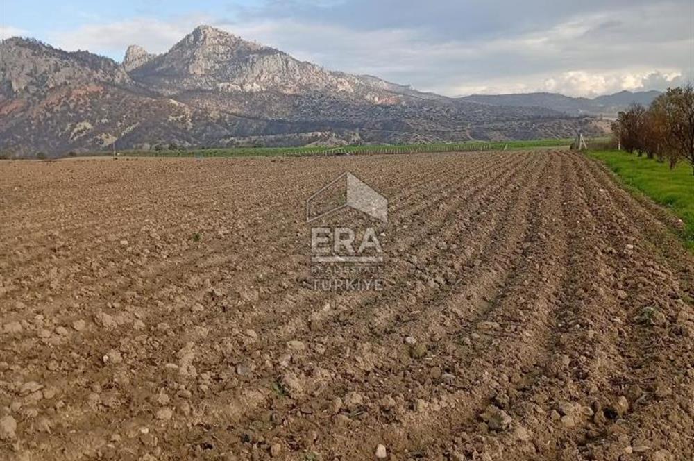 ERA KARAT BİLECİK OSMANELİ SELÇİK KÖYÜNDE 3.211 M2 SATILIK TARLA