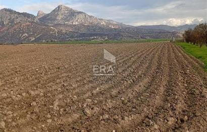 ERA KARAT BİLECİK OSMANELİ SELÇİK KÖYÜNDE 3.211 M2 SATILIK TARLA