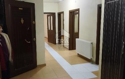 Vedat KORKMAZ'dan Kiralık 3 +1