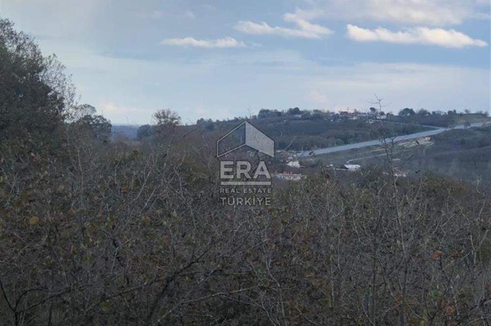 ERA KARAT KARASU TAŞLIGEÇİT KÖY İÇİ'NDE 4,844 M2 SATILIK TARLA